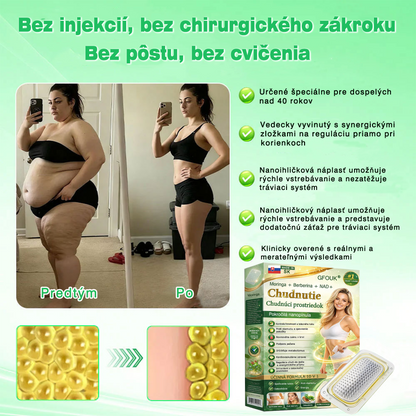 🚀Nová verzia pre rok 2026: 𝑮𝑭𝑶𝑼𝑲® 𝑩𝒆𝒓𝑏𝘦𝘳𝑖𝗇𝒆 6 v 1 Nano Mikroihličková Náplasť s Vedecky Podloženým Zložením🚀