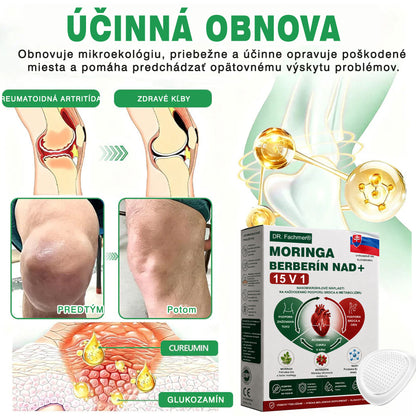 🏆DR.Fachmer® Moringa Berberine NAD+ 15-v-1 Nano-mikroihličková náplasť | Nová generácia starostlivosti o telo s pokročilým nano zložením
