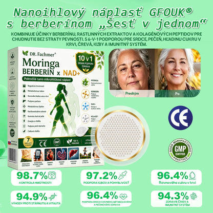 💛DR.Fachmer® Moringa Berberine NAD+ 15-v-1 Nano-mikroihličková náplasť | Nová generácia starostlivosti o telo s pokročilým nano zložením 💛