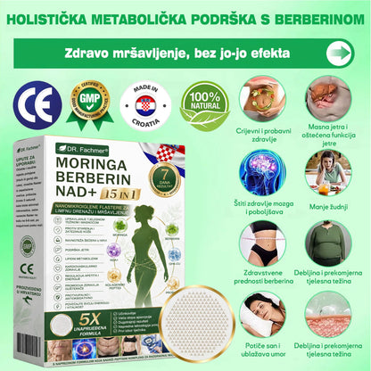 💛DR.Fachmer® Moringa Berberine NAD+ 15-v-1 Nano-mikroihličková náplasť | Nová generácia starostlivosti o telo s pokročilým nano zložením 💛