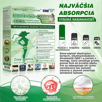 🥕 🌿V súlade s platnými predpismi v Slovenskej republike a Európskej únii 🙌 | 🌿 GFOUK® Moringa · Berberín × NAD+ Pokročilá nano mikroihličková náplasť 10 v 1 | 🧪 Podložené vedou | Zloženie 10 v 1 | 🥕 Viditeľné výsledky už za 7 dní