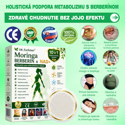 💛DR.Fachmer® Moringa Berberine NAD+ 15-v-1 Nano-mikroihličková náplasť | Nová generácia starostlivosti o telo s pokročilým nano zložením 💛