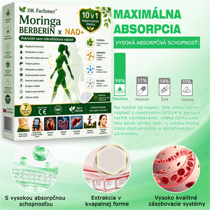 💛DR.Fachmer® Moringa Berberine NAD+ 15-v-1 Nano-mikroihličková náplasť | Nová generácia starostlivosti o telo s pokročilým nano zložením 💛
