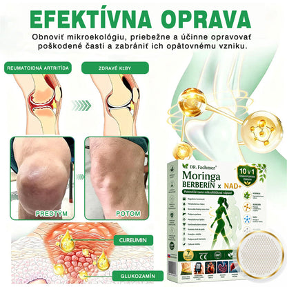 💛DR.Fachmer® Moringa Berberine NAD+ 15-v-1 Nano-mikroihličková náplasť | Nová generácia starostlivosti o telo s pokročilým nano zložením 💛