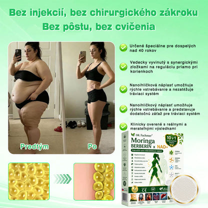 💛DR.Fachmer® Moringa Berberine NAD+ 15-v-1 Nano-mikroihličková náplasť | Nová generácia starostlivosti o telo s pokročilým nano zložením 💛