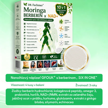 💛DR.Fachmer® Moringa Berberine NAD+ 15-v-1 Nano-mikroihličková náplasť | Nová generácia starostlivosti o telo s pokročilým nano zložením 💛