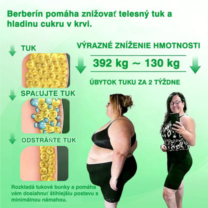 🏆DR.Fachmer® Moringa Berberine NAD+ 15-v-1 Nano-mikroihličková náplasť | Nová generácia starostlivosti o telo s pokročilým nano zložením