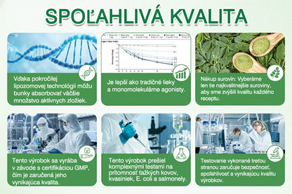 🥕 🌿V súlade s platnými predpismi v Slovenskej republike a Európskej únii 🙌 | 🌿 GFOUK® Moringa · Berberín × NAD+ Pokročilá nano mikroihličková náplasť 10 v 1 | 🧪 Podložené vedou | Zloženie 10 v 1 | 🥕 Viditeľné výsledky už za 7 dní