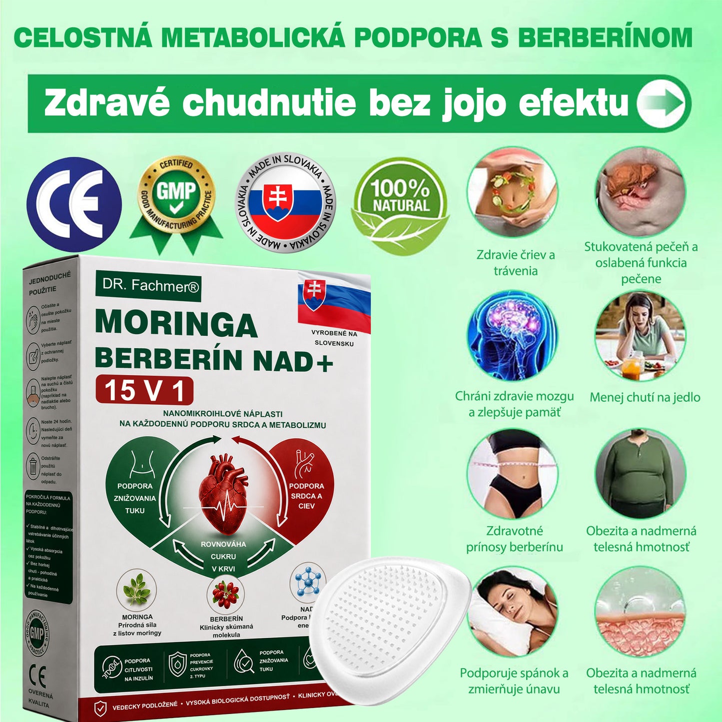 🏆DR.Fachmer® Moringa Berberine NAD+ 15-v-1 Nano-mikroihličková náplasť | Nová generácia starostlivosti o telo s pokročilým nano zložením