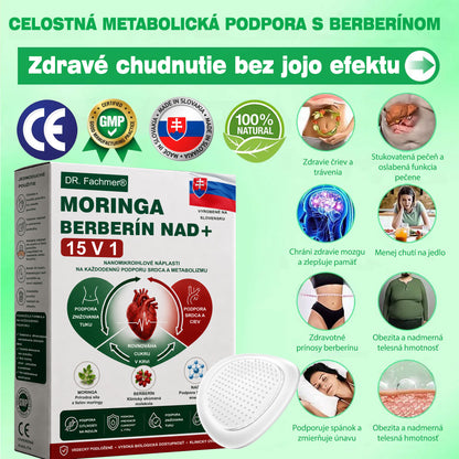 🏆DR.Fachmer® Moringa Berberine NAD+ 15-v-1 Nano-mikroihličková náplasť | Nová generácia starostlivosti o telo s pokročilým nano zložením